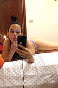 Livorno Trans Escort Giuliana Fragolina 329 08 21 228 foto selfie 158