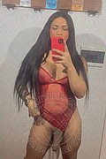 Roma Trans Aline Gomes Pornostar Xxl 328 59 30 377 foto selfie 16