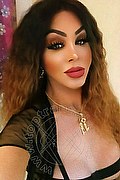 Padova Trans Rosa Xxxl 328 74 36 345 foto selfie 28