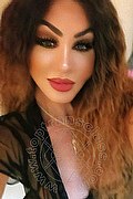 Roma Trans Rosa Xxxl 328 74 36 345 foto selfie 24