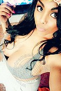 Milano Trans Escort Ariel Collins 376 26 87 589 foto selfie 21