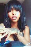Genova Trans Escort Ariel Collins 376 26 87 589 foto selfie 16