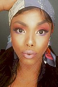 Genova Trans Escort Ariel Collins 376 26 87 589 foto selfie 15