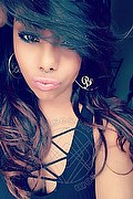 Genova Trans Escort Ariel Collins 376 26 87 589 foto selfie 14