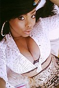 Genova Trans Escort Ariel Collins 376 26 87 589 foto selfie 9