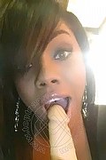 Genova Trans Escort Ariel Collins 376 26 87 589 foto selfie 3