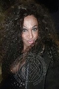 Lido Di Savio Trans Escort Pantera 333 13 92 426 foto selfie 6
