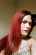 Gorizia Trans Escort Morenna 324 60 08 566 foto selfie 9