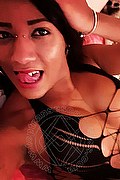 Villa Rosa Trans Escort Letizia 334 32 31 769 foto selfie 14