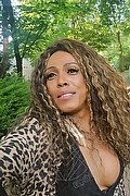 Mestre Trans Escort Paolina Mulatta 333 29 10 933 foto selfie 3