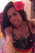 Mestre Trans Escort Paolina Mulatta 333 29 10 933 foto selfie 24