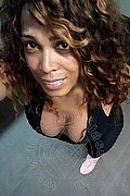 Mestre Trans Paolina Mulatta 333 29 10 933 foto selfie 11