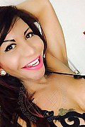 Napoli Trans Escort Sole Gucci 351 18 41 563 foto selfie 58