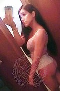 Frosinone Trans Escort Mafer Gold 349 76 56 467 foto selfie 26