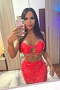 Milano Trans Escort Eva B 320 03 97 565 foto selfie 26