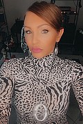 Treviso Trans Valeria 338 87 18 849 foto selfie 258