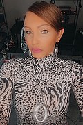 Treviso Trans Escort Valeria 338 87 18 849 foto selfie 257