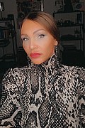 Treviso Trans Valeria 338 87 18 849 foto selfie 265