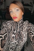 Treviso Trans Valeria 338 87 18 849 foto selfie 264