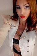 Treviso Trans Escort Valeria 338 87 18 849 foto selfie 236