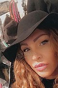 Treviso Trans Valeria 338 87 18 849 foto selfie 298