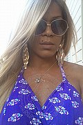 Mariano Comense Trans Escort Ameliana 334 70 12 101 foto selfie 12