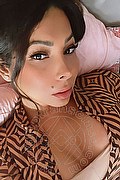 Ponte Chiasso Trans Nayara 333 82 31 420 foto selfie 21
