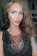 Treviso Trans Valeria 338 87 18 849 foto selfie 306