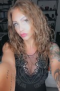 Treviso Trans Valeria 338 87 18 849 foto selfie 305