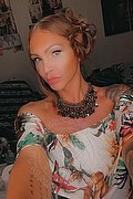 Treviso Trans Escort Valeria 338 87 18 849 foto selfie 319