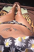 Treviso Trans Valeria 338 87 18 849 foto selfie 977