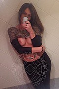 Treviso Trans Valeria 338 87 18 849 foto selfie 931