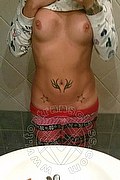 Treviso Trans Valeria 338 87 18 849 foto selfie 755