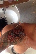 Treviso Trans Valeria 338 87 18 849 foto selfie 702