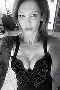 Treviso Trans Valeria 338 87 18 849 foto selfie 651