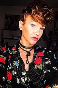 Treviso Trans Valeria 338 87 18 849 foto selfie 546