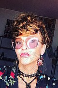 Treviso Trans Valeria 338 87 18 849 foto selfie 524