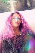 Treviso Trans Valeria 338 87 18 849 foto selfie 563