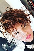 Treviso Trans Valeria 338 87 18 849 foto selfie 509