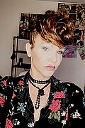 Treviso Trans Valeria 338 87 18 849 foto selfie 507