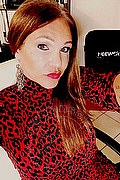 Treviso Trans Valeria 338 87 18 849 foto selfie 504