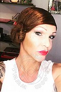 Treviso Trans Valeria 338 87 18 849 foto selfie 502