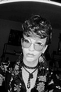 Treviso Trans Valeria 338 87 18 849 foto selfie 489
