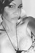 Treviso Trans Valeria 338 87 18 849 foto selfie 455