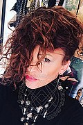Treviso Trans Escort Valeria 338 87 18 849 foto selfie 498
