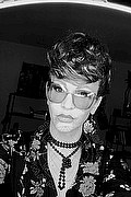 Treviso Trans Escort Valeria 338 87 18 849 foto selfie 486