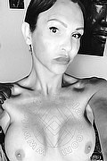 Treviso Trans Valeria 338 87 18 849 foto selfie 410