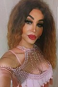 Padova Trans Rosa Xxxl 328 74 36 345 foto selfie 18