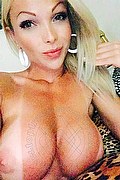 Modena Trans Escort Carla Novaes Pornostar 320 34 14 051 foto selfie 67