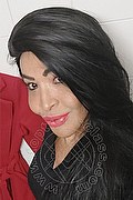 Prato Trans Taina Oliveira 328 53 82 487 foto selfie 55